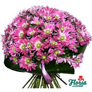 flori-buchet-de-23-crizanteme-roz-1004.jpeg
