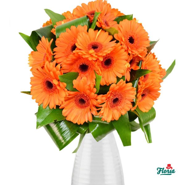 flori-buchet-de-23-gerbera-portocalii-30599.jpeg