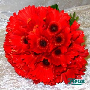 flori-buchet-de-23-gerbera-rosii-104.jpeg