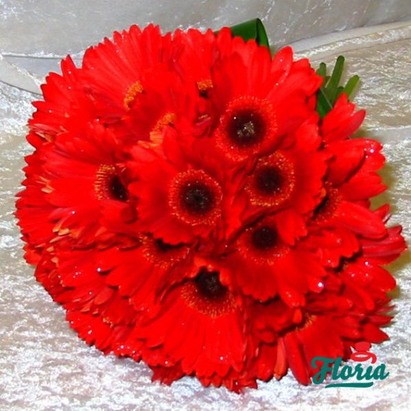 flori-buchet-de-23-gerbera-rosii-104.jpeg