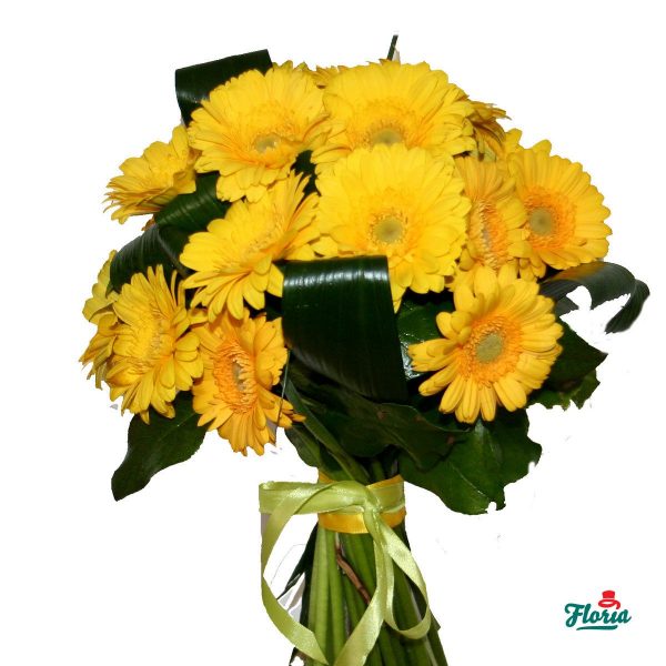 flori-buchet-de-23-gerbere-galbene-421.jpeg