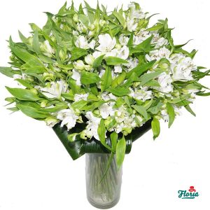 flori-buchet-de-25-alstroemeria-albe-2582.jpeg