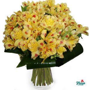 flori-buchet-de-25-alstroemeria-galbene-2563.jpeg