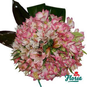flori-buchet-de-25-alstroemeria-roz-413.jpeg