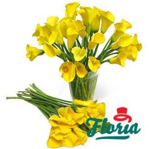 flori-buchet-de-25-cale-galbene-1077.jpeg