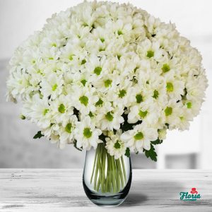 flori-buchet-de-25-crizanteme-albe-32665.jpeg