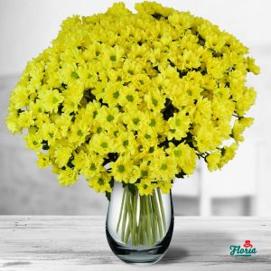 flori-buchet-de-25-crizanteme-galbene-32634.jpeg
