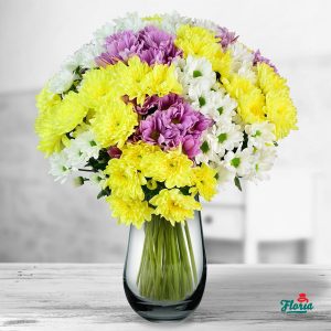 flori-buchet-de-25-crizanteme-multicolore-33124.jpeg