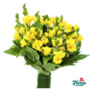flori-buchet-de-25-frezii-galbene-29896.jpeg
