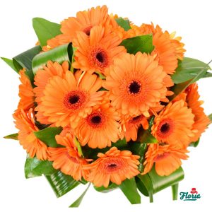 flori-buchet-de-25-gerbera-portocalii-30600.jpeg