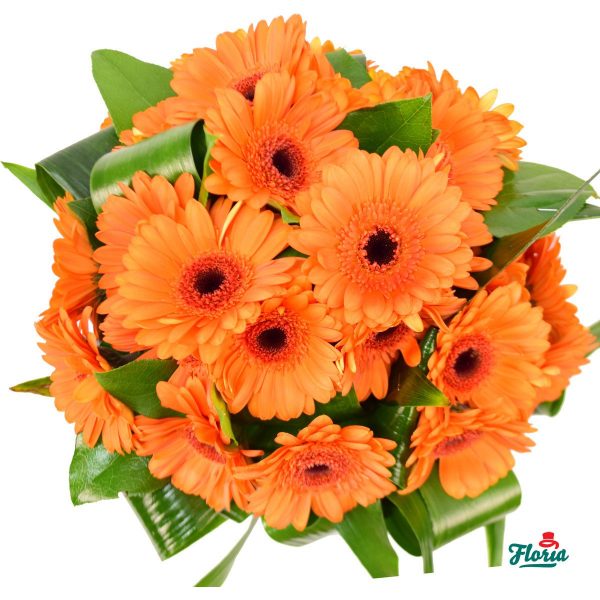 flori-buchet-de-25-gerbera-portocalii-30600.jpeg