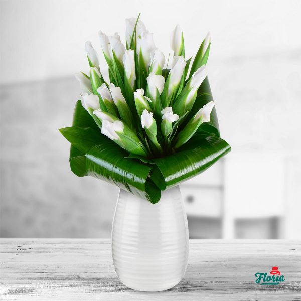 flori-buchet-de-25-irisi-albi-33135.jpeg