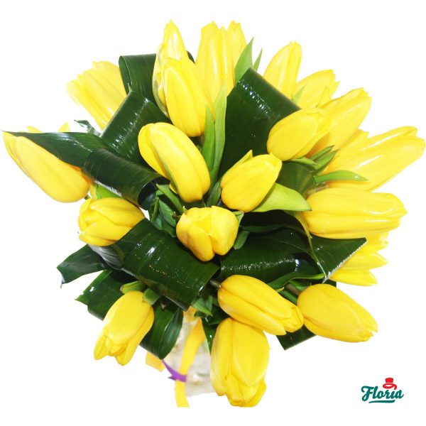 flori-buchet-de-25-lalele-galbene-1112.jpeg