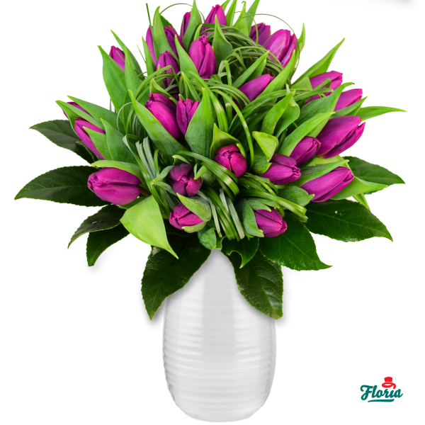 flori-buchet-de-25-lalele-mov-30376.png