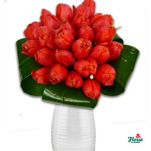 flori-buchet-de-25-lalele-rosii-30648.png