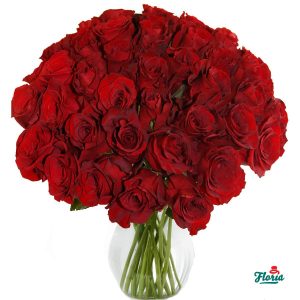 flori-buchet-de-25-trandafiri-rosii-2577.jpeg