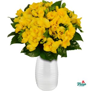 flori-buchet-de-31-frezii-galbene-30639.jpeg