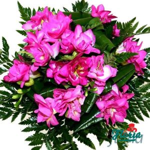 flori-buchet-de-31-frezii-roz-619.jpeg