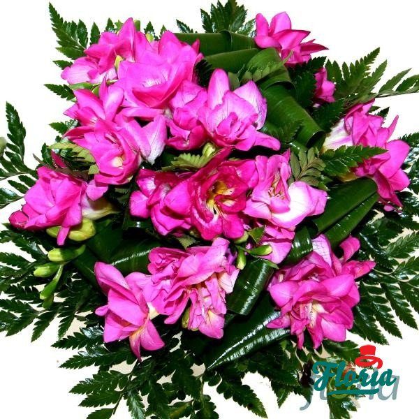flori-buchet-de-31-frezii-roz-619.jpeg