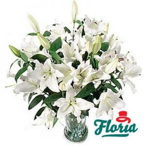 flori-buchet-de-35-crini-albi-131.jpeg