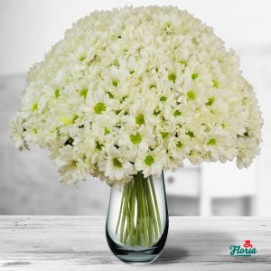 flori-buchet-de-35-crizanteme-albe-32659.jpeg