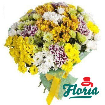 flori-buchet-de-35-crizanteme-multicolore-285.jpeg