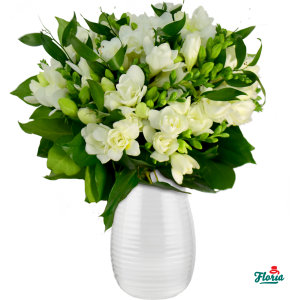 flori-buchet-de-35-frezii-albe-31320.png