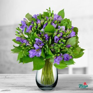 flori-buchet-de-35-frezii-mov-32992.jpeg