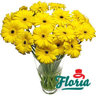 flori-buchet-de-35-gerbera-galbene-175.jpeg
