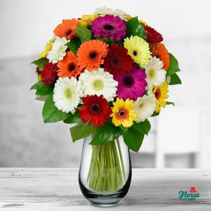 flori-buchet-de-35-gerbera-multicolore-33370.jpeg