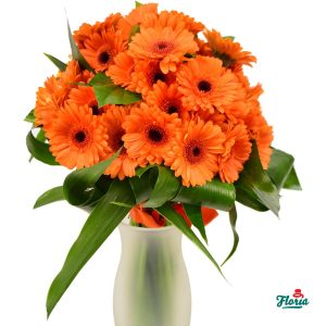 flori-buchet-de-35-gerbera-portocalii-30601.jpeg