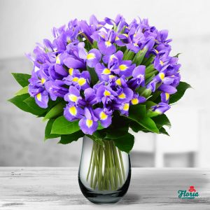 flori-buchet-de-35-irisi-mov-33079.jpeg