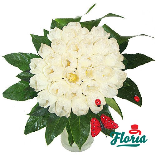 flori-buchet-de-35-lalele-albe-331.jpeg