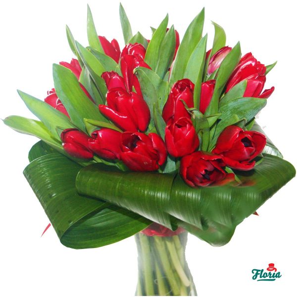 flori-buchet-de-35-lalele-rosii-917.jpeg