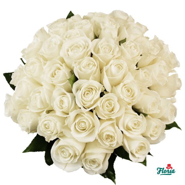 flori-buchet-de-43-trandafiri-albi-29548.jpeg