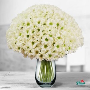 flori-buchet-de-45-crizanteme-albe-32686.jpeg