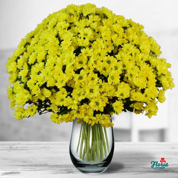 flori-buchet-de-45-crizanteme-galbene-32636.jpeg