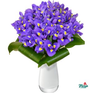 flori-buchet-de-45-irisi-mov-28776.jpeg