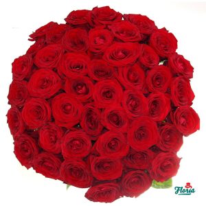 flori-buchet-de-45-trandafiri-rosii-23.jpeg