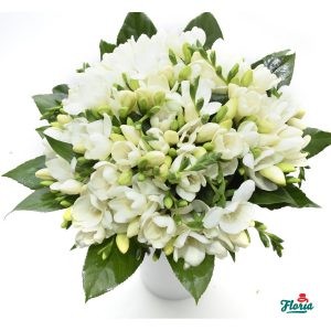 flori-buchet-de-49-frezii-albe-28606.jpeg