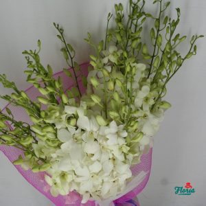 flori-buchet-de-49-orhidee-dendrobium-albe-377.jpeg
