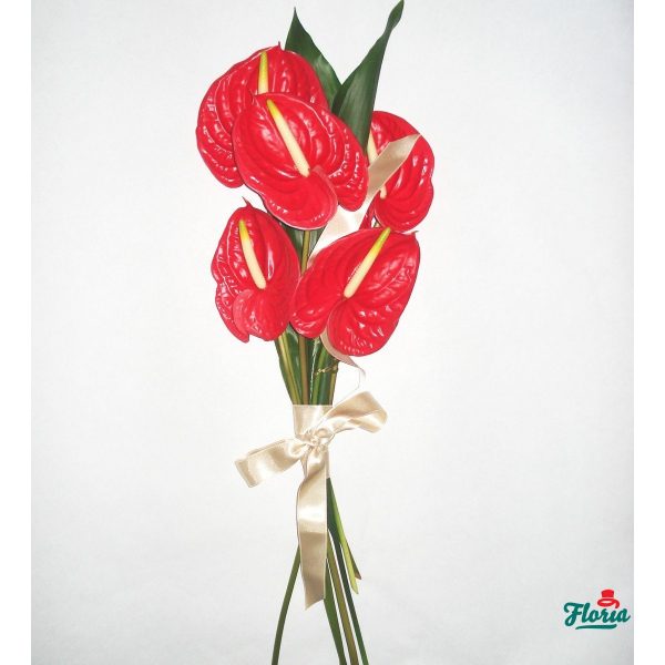 flori-buchet-de-5-anthurium-rosii-886.jpeg