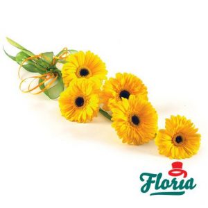flori-buchet-de-5-gerbera-galbene-895.jpeg