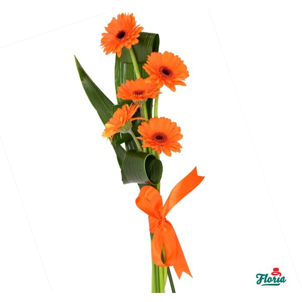 flori-buchet-de-5-gerbera-portocalii-30588.jpeg