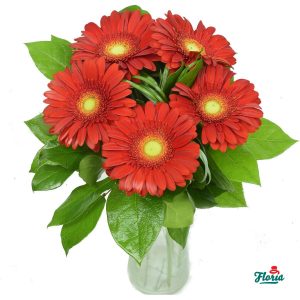 flori-buchet-de-5-gerbera-rosii-2639.jpeg