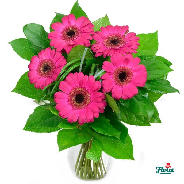 flori-buchet-de-5-gerbera-roz-2646.jpeg