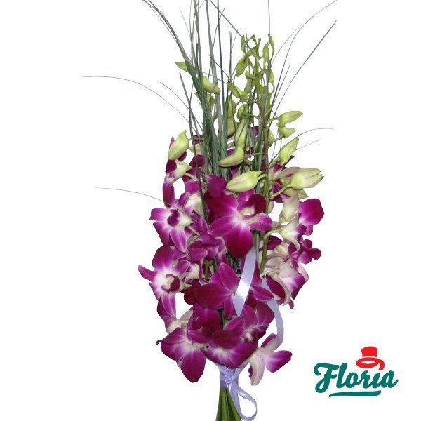 flori-buchet-de-5-orhidee-dendrobium-mov-342.jpeg