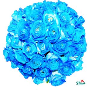 flori-buchet-de-53-trandafiri-albastri-300.jpeg