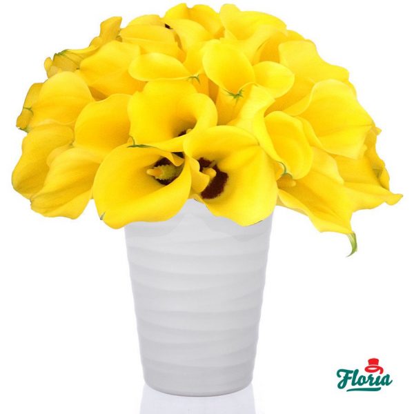 flori-buchet-de-55-cale-galbene-28691.jpeg