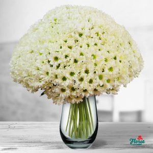 flori-buchet-de-55-crizanteme-albe-32684.jpeg